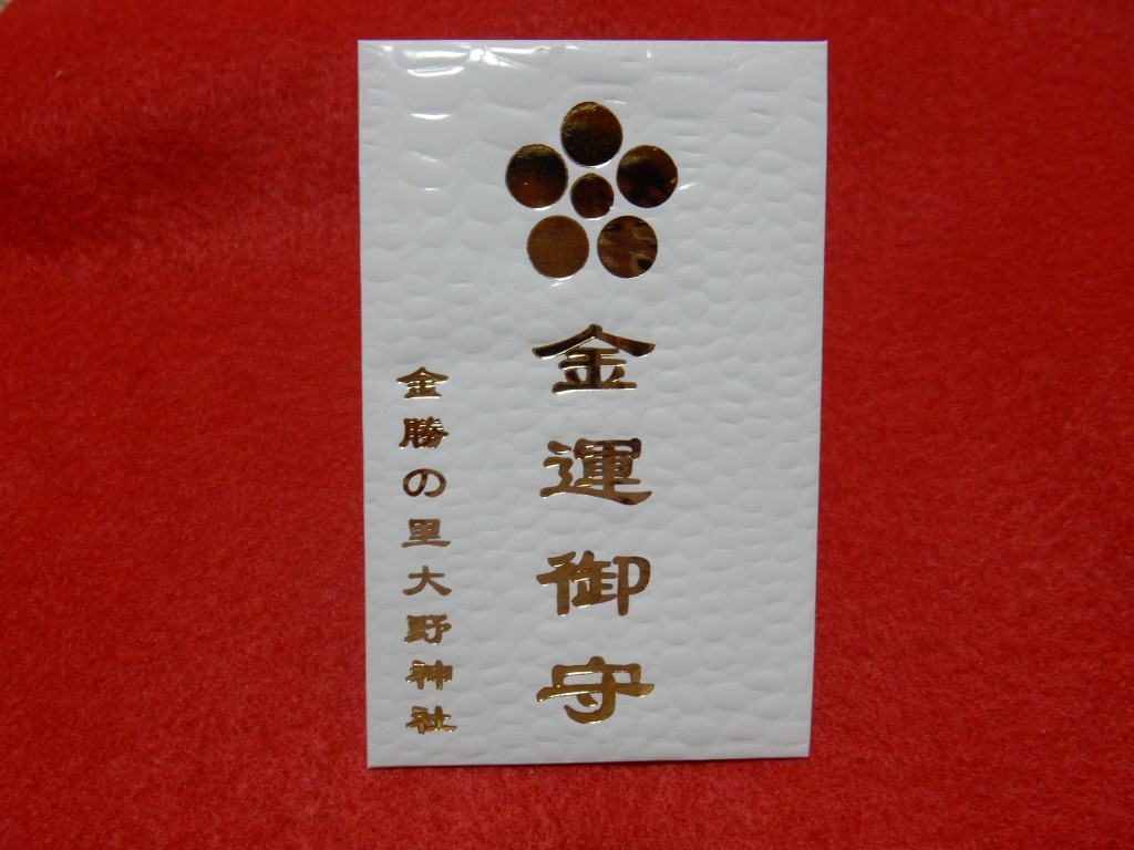 DSCN9714