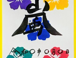 新ハイビスカス朱印紙
